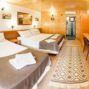 Pensiunea Casa 3*, Bucharest Romania